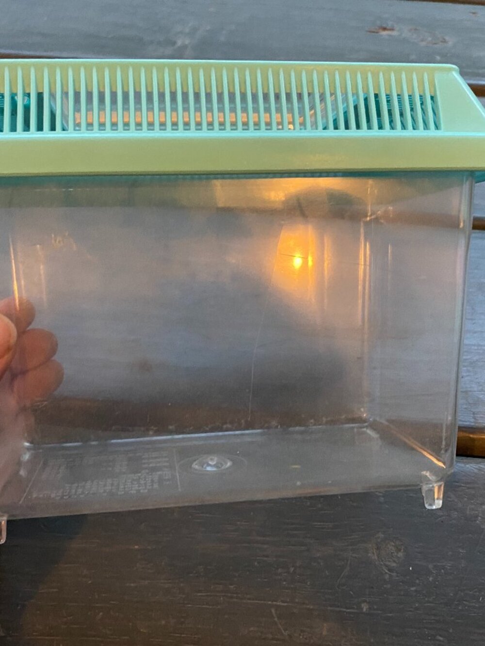 Hermet Crab Cage- crack on container!